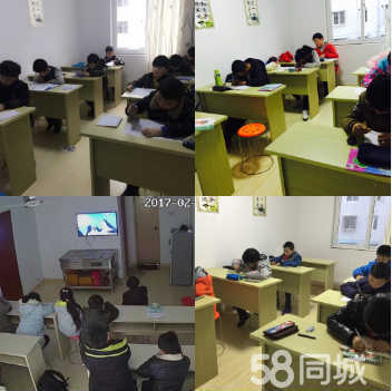 國內教育信息咨詢服務 蕪湖牧文教育的專業助力