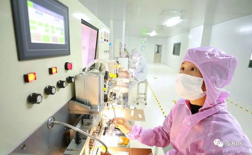 泰和外貿(mào)企業(yè)加速復工復產(chǎn)，同步探索國內(nèi)教育信息咨詢服務新機遇