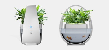 藍(lán)布生態(tài)魚缸 無(wú)需換水的智能水族新體驗(yàn)與品牌創(chuàng)新之路