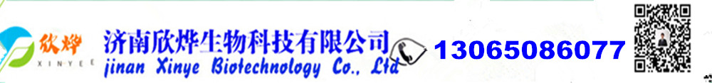 N-甲基吡咯烷酮,四氢噻吩,对苯醌,对苯二酚,氧化苯乙烯,苯乙酮,间苯二甲醚,环戊酮_济南欣烨生物